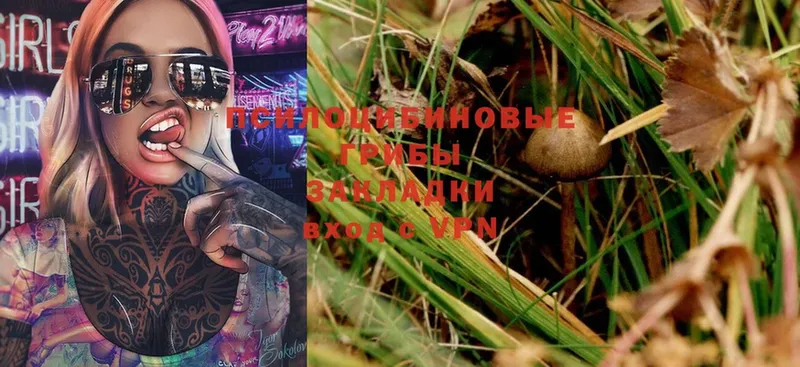 Псилоцибиновые грибы MAGIC MUSHROOMS  цена   Вышний Волочёк 